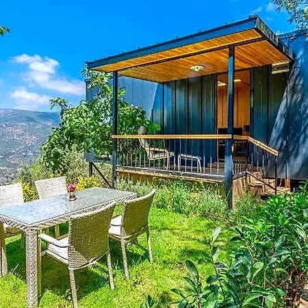 Avena Mountain (adults Only)